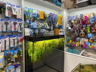 Magnus Canis Sklep Zoologiczny